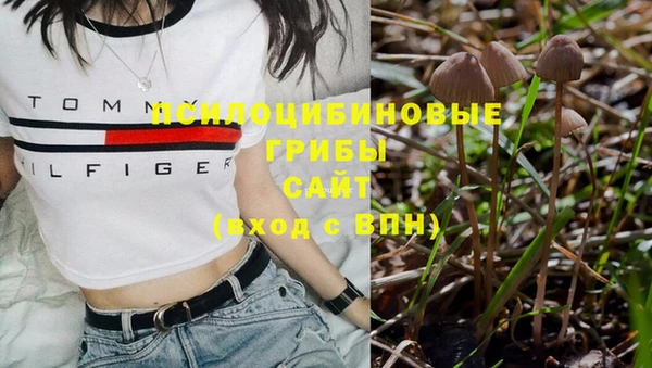 винт Грязи