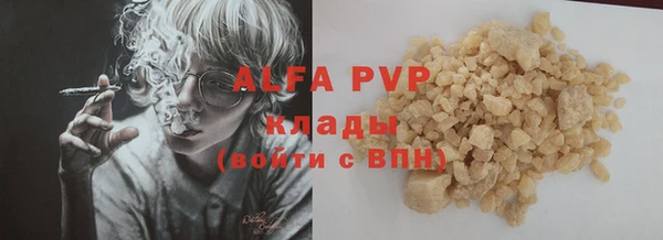 твердый Вяземский