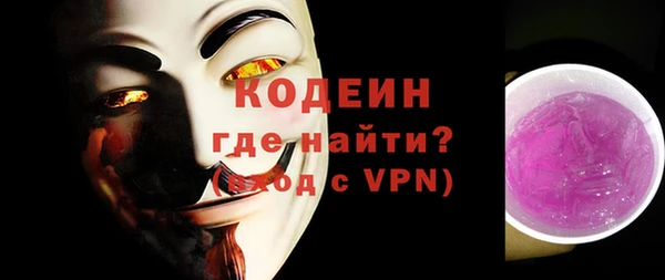 твердый Вяземский