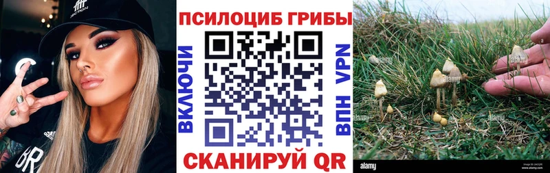 Галлюциногенные грибы прущие грибы  даркнет Telegram  Гагарин 