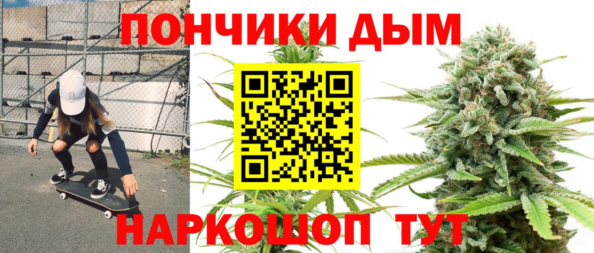 Конопля сатива Гагарин
